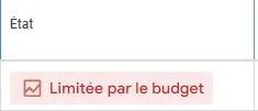 optimisation campagne google ads - limitée par le budget