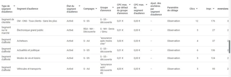 optimisation google ads - audiences